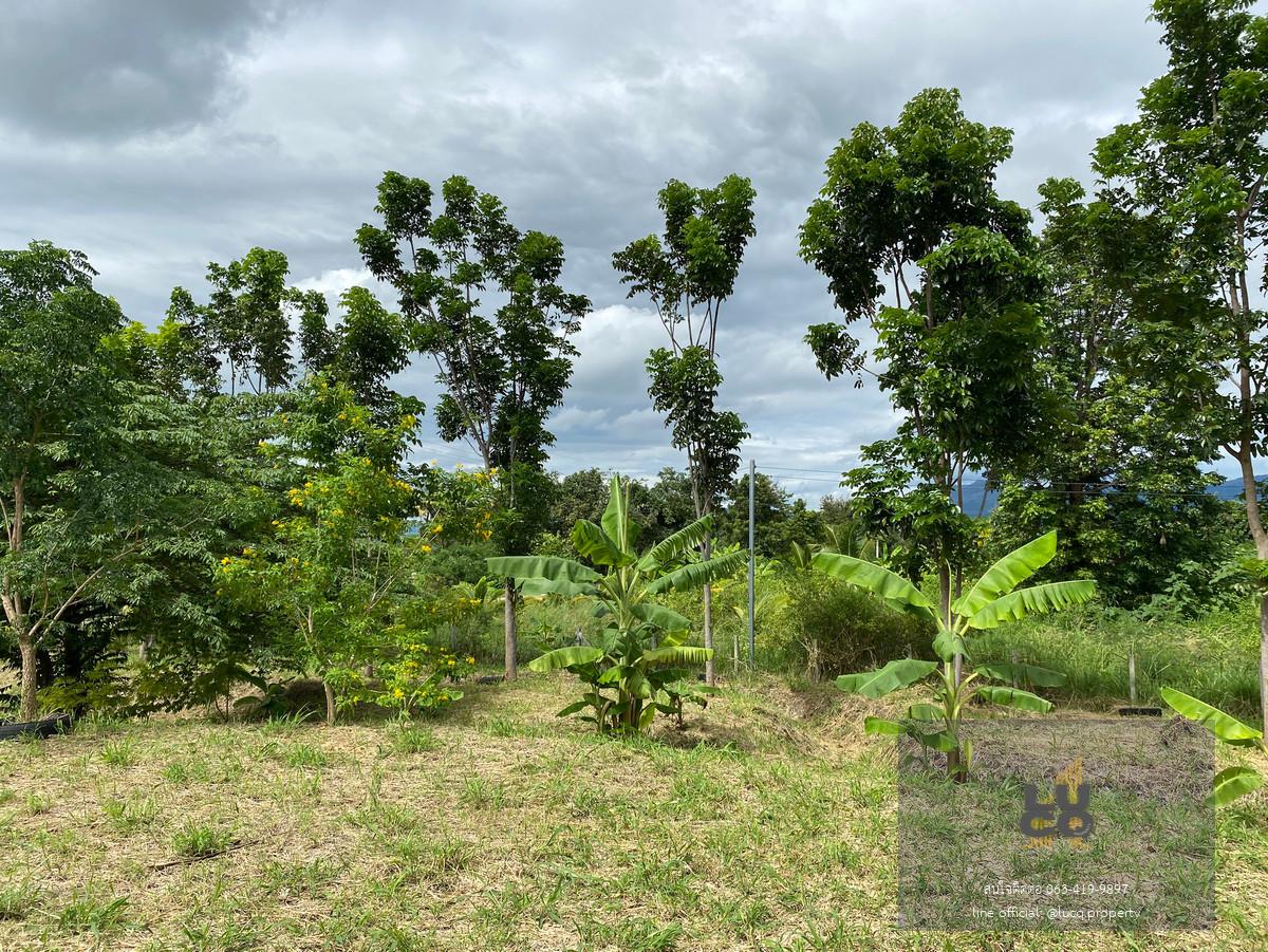 ที่ดินปากช่อง ที่สวย ทำเลดี วิวเขายายเที่ยง 2 ไร่ ราคาดีสุดๆแค่  𝟮,𝟰𝟬𝟬,𝟬𝟬𝟬 บาท