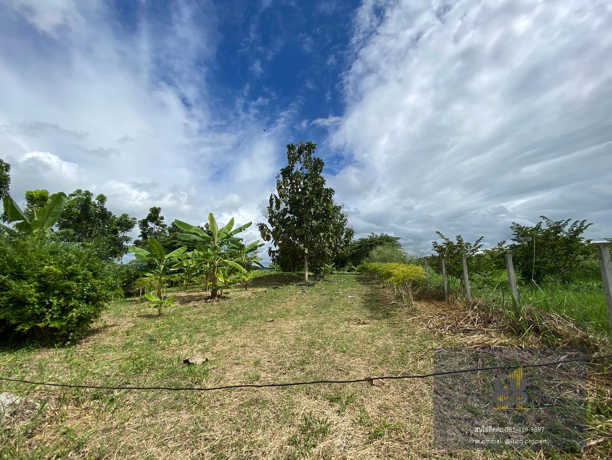 ที่ดินปากช่อง ที่สวย ทำเลดี วิวเขายายเที่ยง 2 ไร่ ราคาดีสุดๆแค่  𝟮,𝟰𝟬𝟬,𝟬𝟬𝟬 บาท