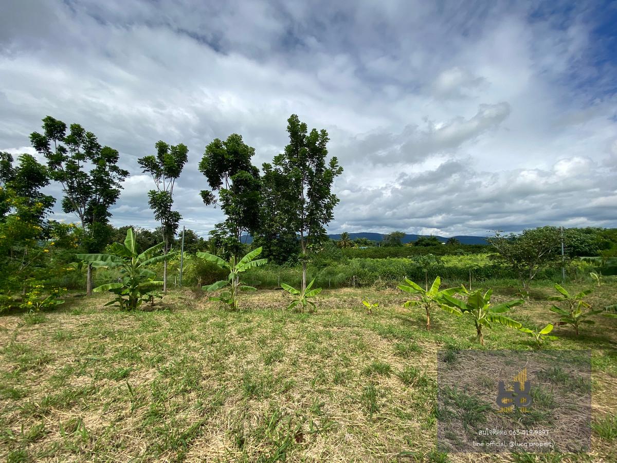 ที่ดินปากช่อง ที่สวย ทำเลดี วิวเขายายเที่ยง 2 ไร่ ราคาดีสุดๆแค่  𝟮,𝟰𝟬𝟬,𝟬𝟬𝟬 บาท