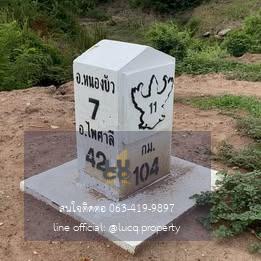 ที่ดินติดถนนอินทร์บุรี-เชียงใหม่(11) 9ไร่ 3งาน